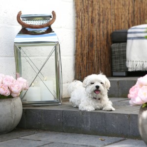 Lanterns from M&B
