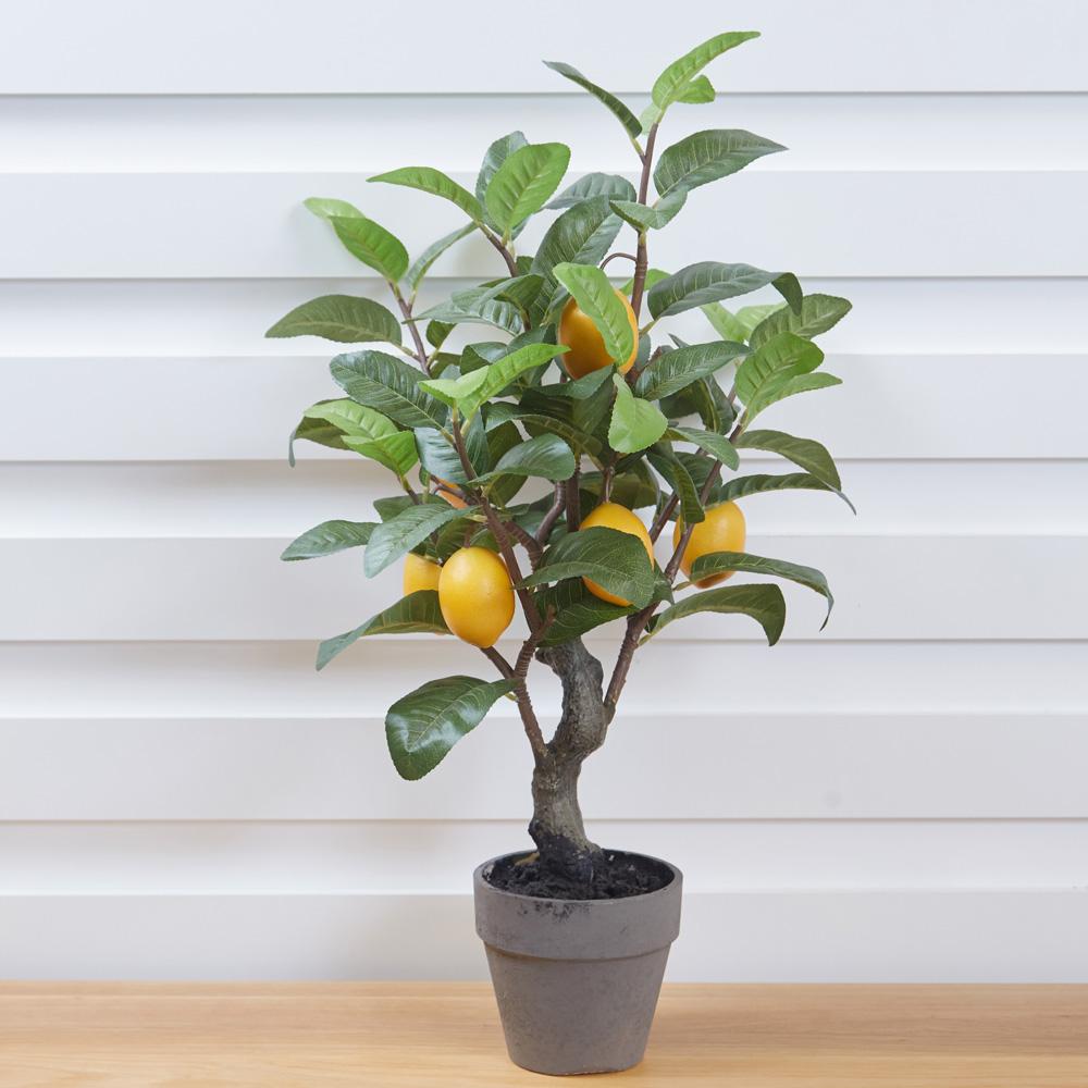 Faux Lemon Pot, €69.95