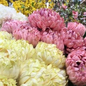 Faux Flowers.