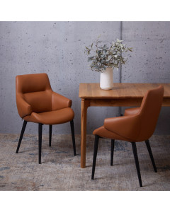 Luther Faux Leather Dining Chair - Set of 2