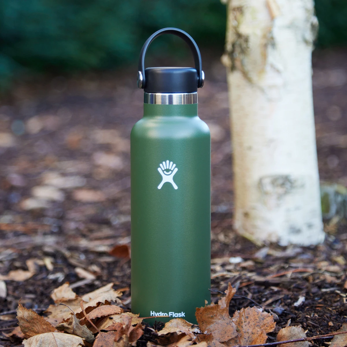 Hydro Flask 21 Oz Standard Mouth Flex Cap Water Bottle Olive