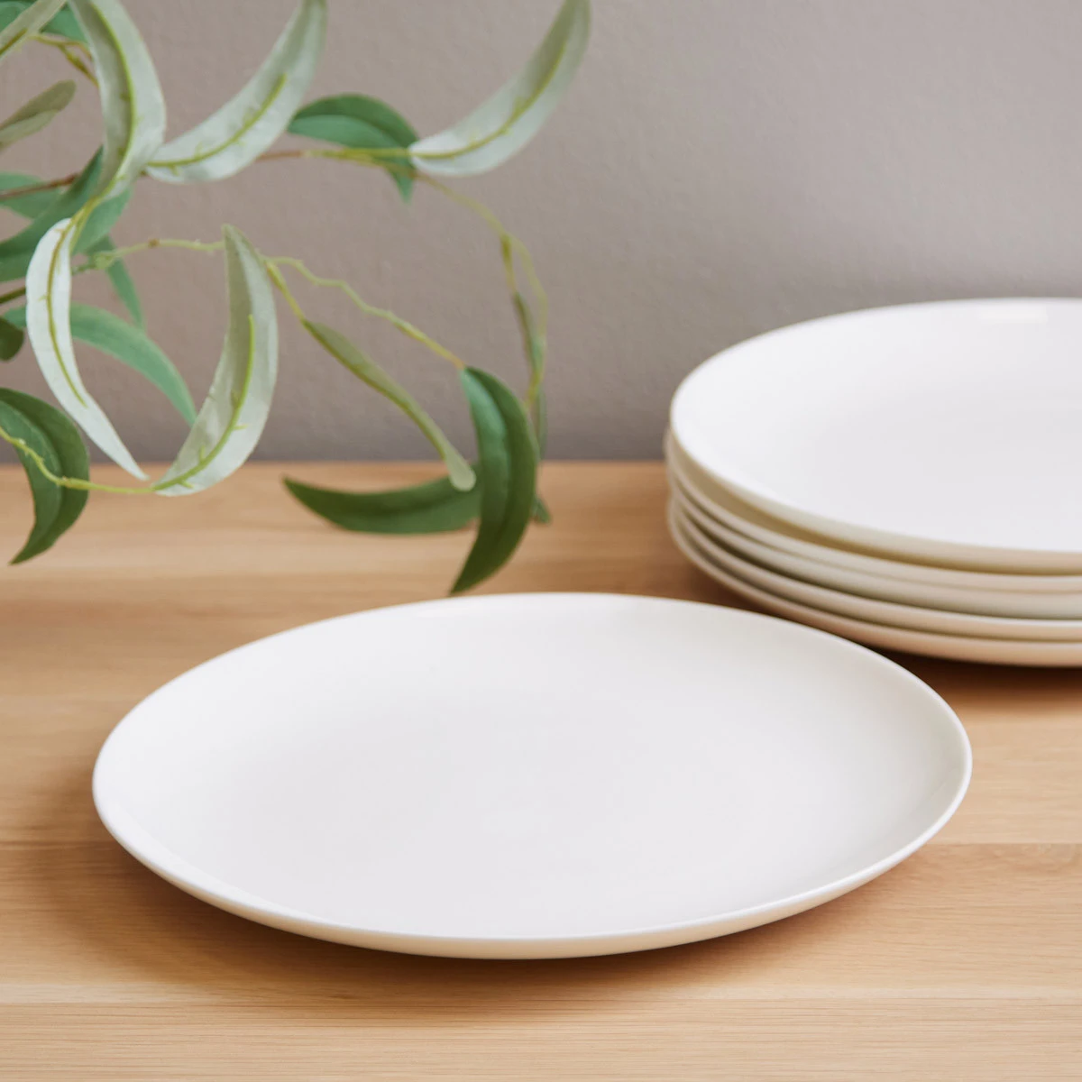 Lumina Fine Bone China Dinner Plate Set of Meadows Byrne