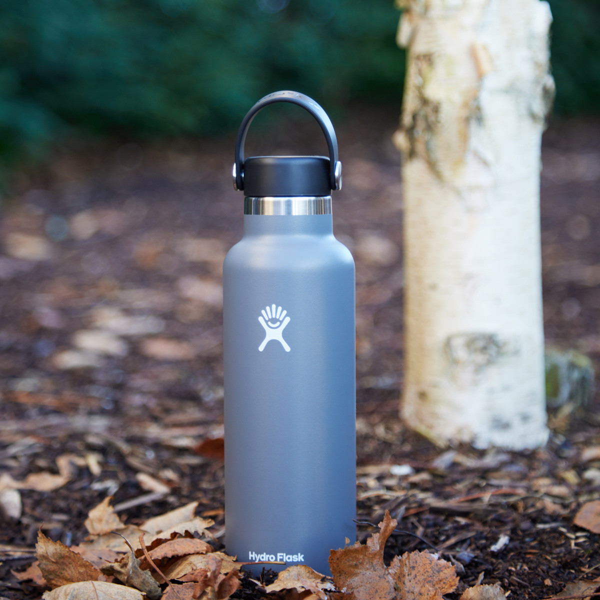 Hydro Flask 21 Oz Standard Mouth Flex Cap Water Bottle Stone