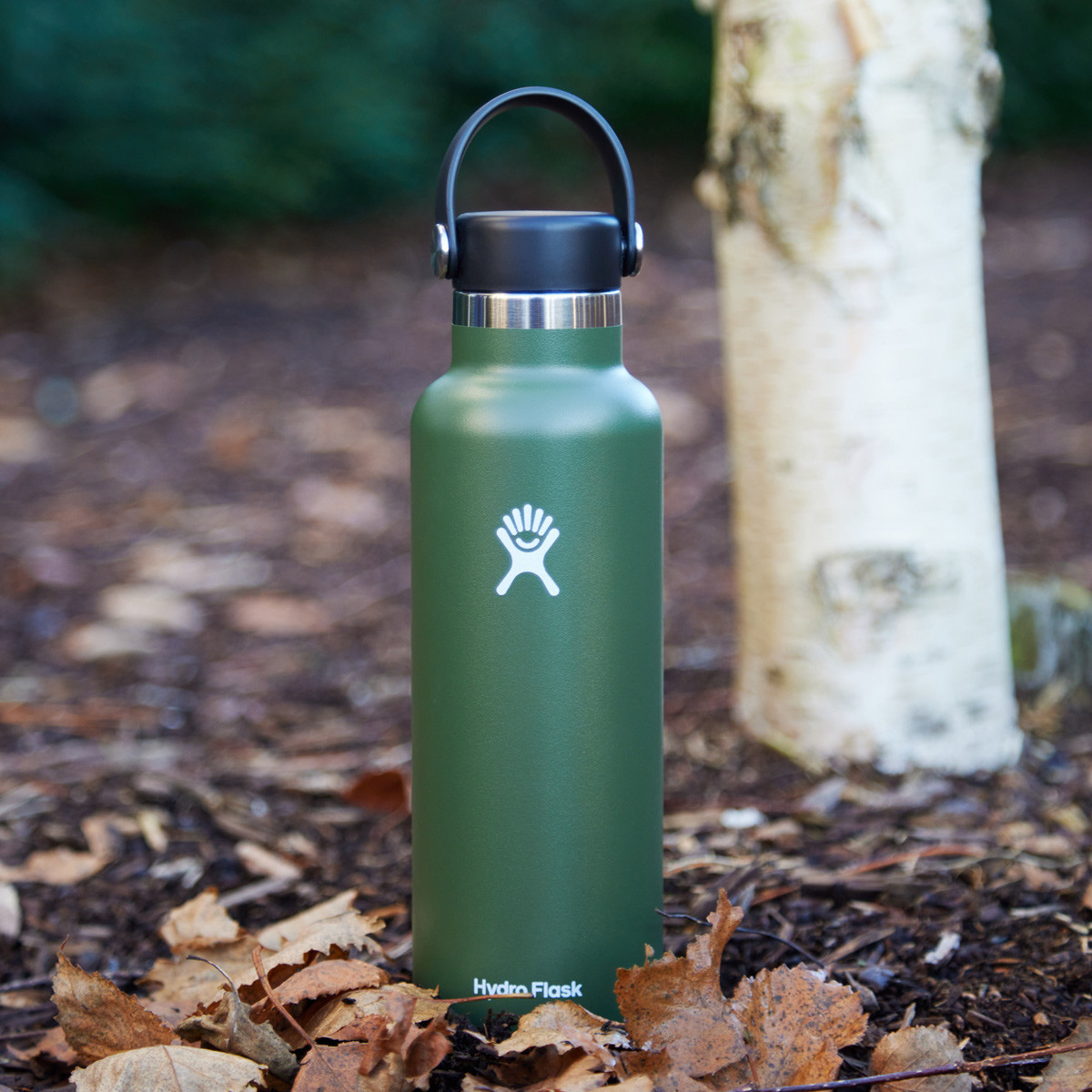 Hydro Flask 21 Oz Standard Mouth Flex Cap Water Bottle Olive