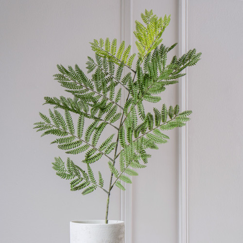 Jumbo Fern Leaf Spray