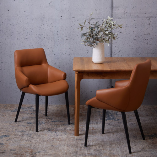 Luther Faux Leather Dining Chair - Set of 2