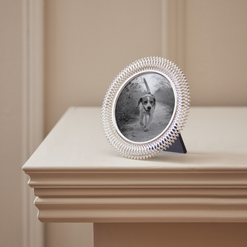 Slinky Silver Photo Frame 4