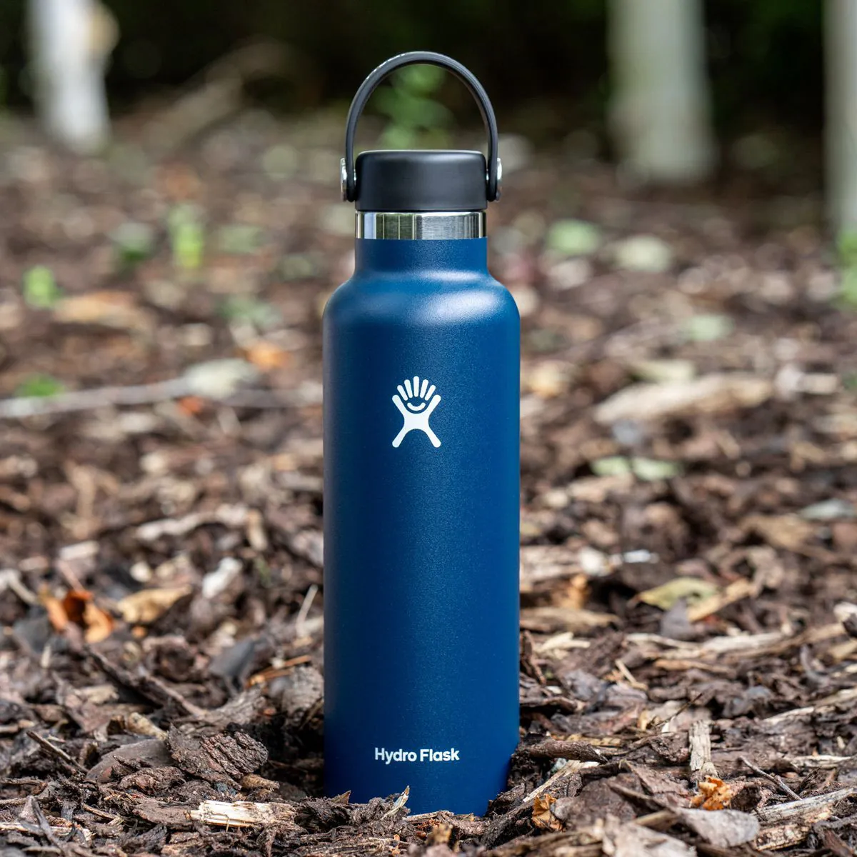 21 Oz Hydro Flask Multiple Colors Hydro Flask 21 Oz Standard Mouth  Insulated Bottle, Shale Gray
